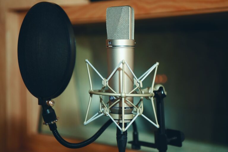 Studio microphone with pop filter for a voice acting demo reel